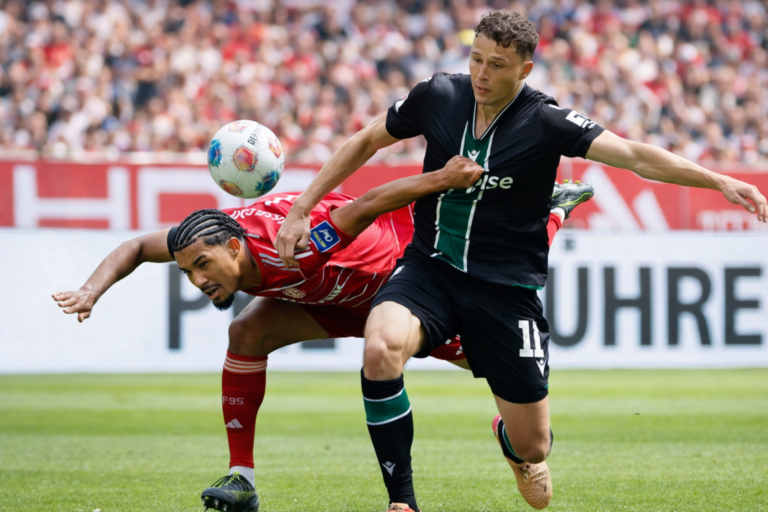 مباراة بين هانوفر 96 وفورتونا دوسلدورف في ملعب هينز فون هيدن أرينا