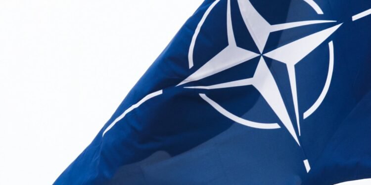 صورة لنشاطات عسكرية لحلف الناتو تشمل جنود وأعلام